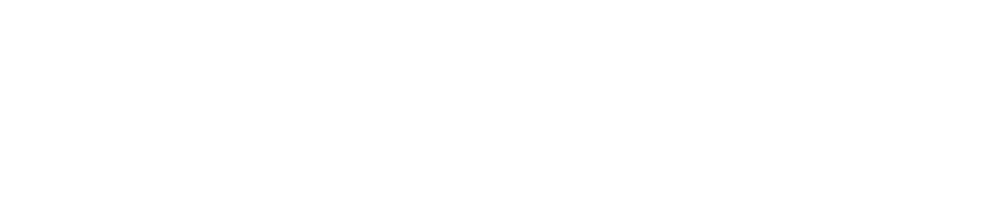 Black River Systems
